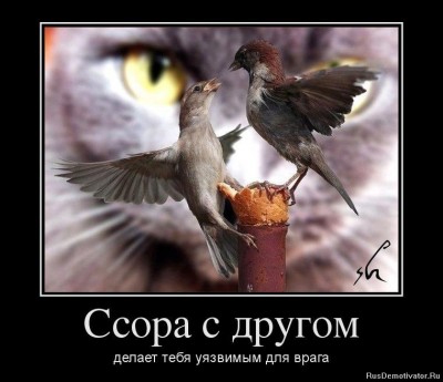 1356197567_76229333_ssora-s-drugom.jpg