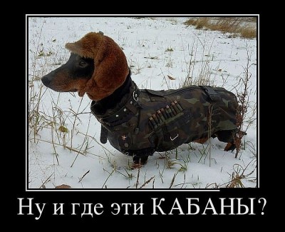 YUFNdZCWW1ag_1648503_PL.jpg