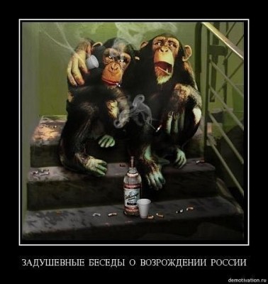 2c8f9e1ba05b93bf9a875934e2f.jpg