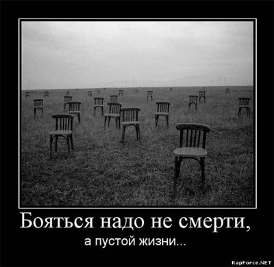 3998907.jpg