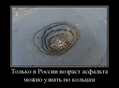 0465514_tolko-v-rossii-vozrast-asfalta-mozhno-uznat-po-koltsam.jpg