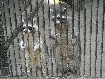 DSCN0197.JPG (174.7 КБ) 37998 просмотров DSCN0197.JPG