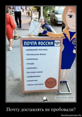 1360171017_f4gky6jznwiz.jpg