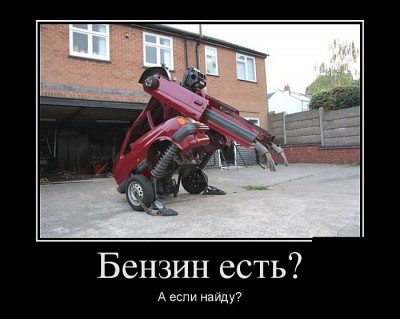 76ov2x3TVhXr_1730295_PL.jpg
