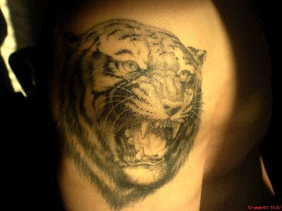 DSC00281.JPG (229.2 КБ) 25451 просмотр DSC00281.JPG