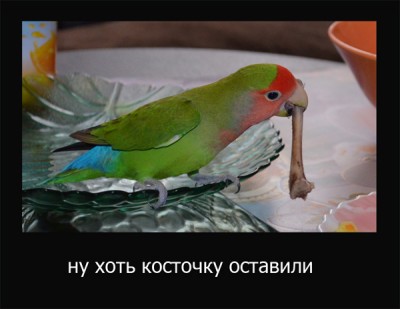 пончо.jpg (183.03 КБ) 14214 просмотров пончо.jpg