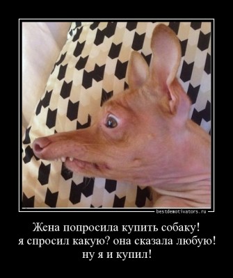 1389208222_Zhena-poprosila-kupi_bestdemotivators.ru.jpg (113.31 КБ) 14054 просмотра 1389208222_Zhena-poprosila-kupi_bestdemotivators.ru.jpg