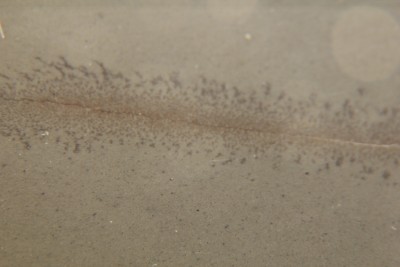 IMG_4781.jpg (241.71 КБ) 38261 просмотр IMG_4781.jpg