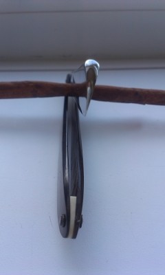 IMAG0422.jpg