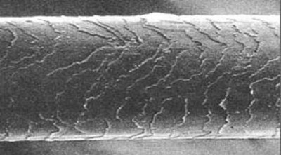 stroenie-volosa-ego-struktura.jpg (17.35 КБ) 37526 просмотров stroenie-volosa-ego-struktura.jpg