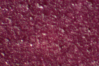 DSC07002.jpg