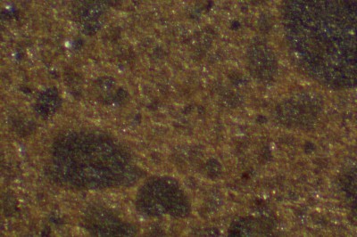 DSC07004.jpg