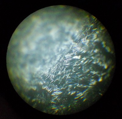 DSCN0296.JPG