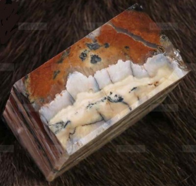 brown-white_molar.jpg