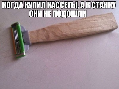 5333758.jpg