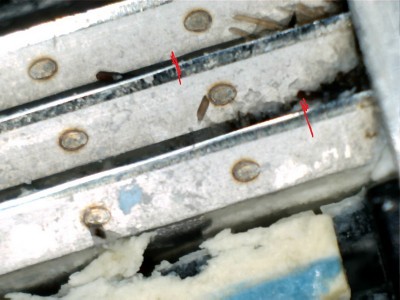 границы заточки.jpg (134.91 КБ) 19714 просмотров границы заточки.jpg