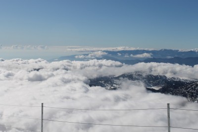 IMG_0844.jpg