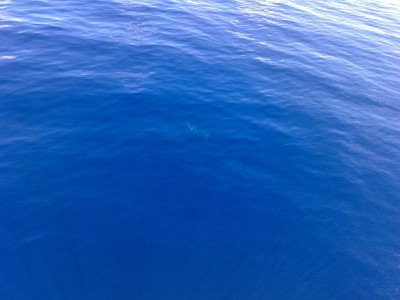 19082009043.jpg