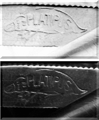 Platypus.gif (67.14 КБ) 8551 просмотр Platypus.gif