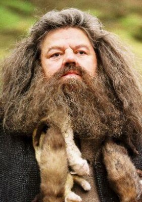 Rubeus_Hagrid.jpg