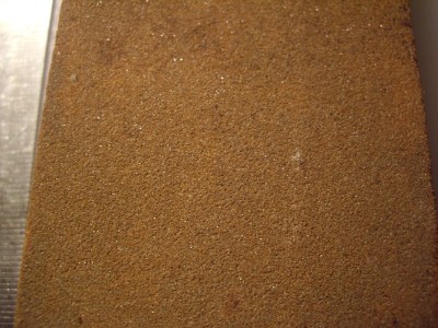 IMGP9918.JPG