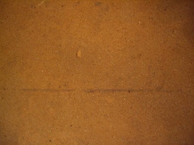 IMGP9920.JPG