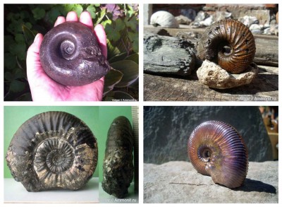 1.jpg (210.28 КБ) 32739 просмотров 1.jpg