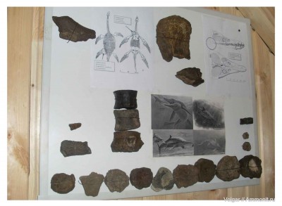 2.jpg (115.05 КБ) 32744 просмотра 2.jpg