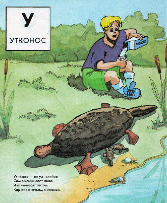 utkonos.jpg (103.06 КБ) 8458 просмотров utkonos.jpg