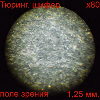 DSCN0339.JPG