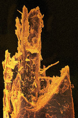 1.jpg (883.21 КБ) 29463 просмотра 1.jpg