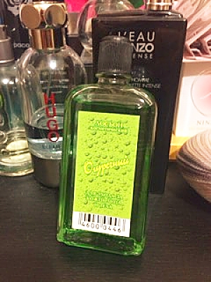 OINN3726[1]_opt.jpg