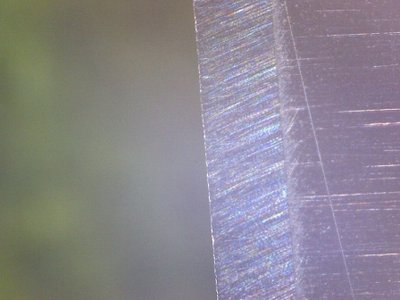 Image-3_2016-09-25.JPG