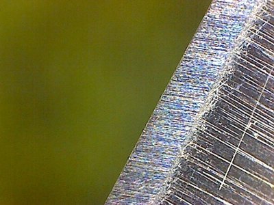Image-0_2016-09-25.JPG