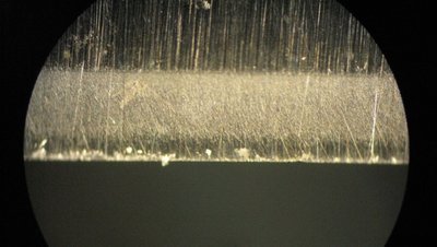 IMG_6233.JPG