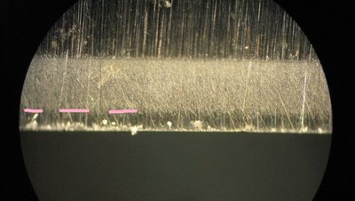 IMG_6233.JPG