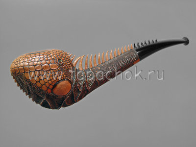 kharlamov_iguana_a.jpg (122.96 КБ) 24097 просмотров kharlamov_iguana_a.jpg