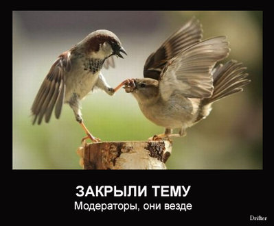 модераторы.jpg (106.07 КБ) 18905 просмотров модераторы.jpg