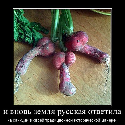 санкции и ответ.jpg (128.86 КБ) 16989 просмотров санкции и ответ.jpg