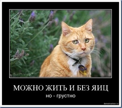 5300-1363436441.jpg (62.85 КБ) 12140 просмотров 5300-1363436441.jpg