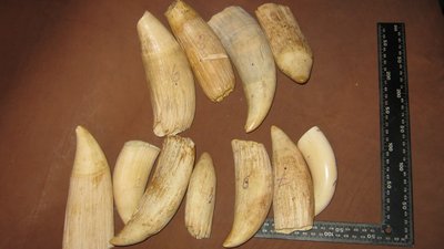 IMG_0437.JPG