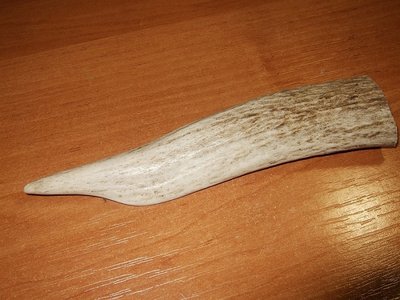 DSCF0603.JPG