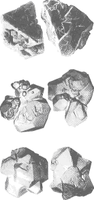 image.gif