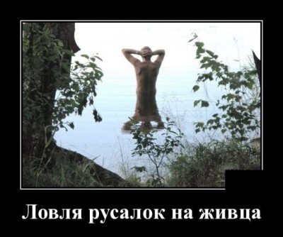 IMG_1918.JPG (84.65 КБ) 13903 просмотра IMG_1918.JPG