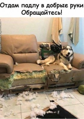 i.jpg (66.84 КБ) 13094 просмотра i.jpg