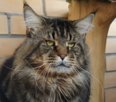 beYVPtLC4fs.jpg (502.78 КБ) 12137 просмотров beYVPtLC4fs.jpg