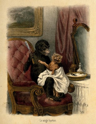 Bradobrei.202.Le singe barbier.Y.G..jpg