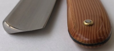 IMG_4330.jpg