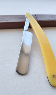 IMG_20250323_110941.jpg