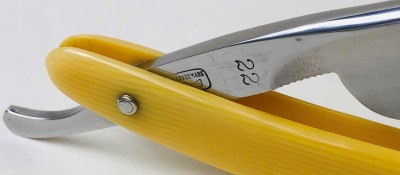 IMG_2993.jpg